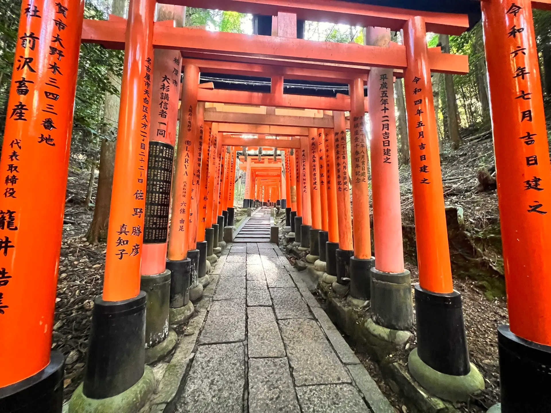 hero-japan